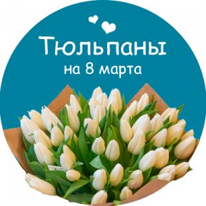 Купить тюльпаны в Таре